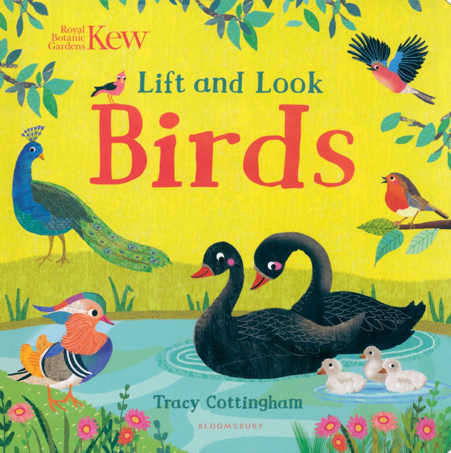 

Kew Lift and Look Birds