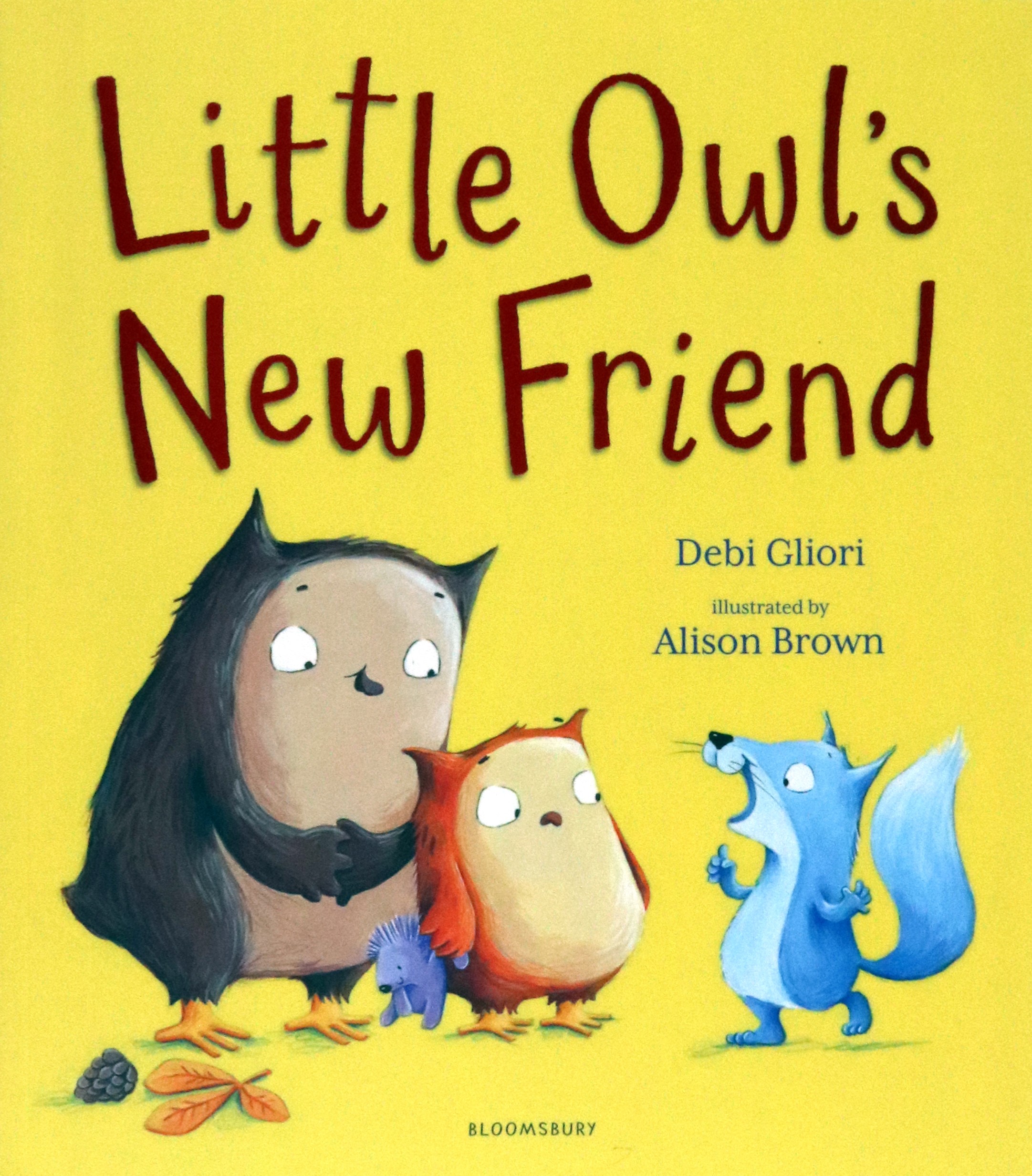 

Little Owl's New Friend