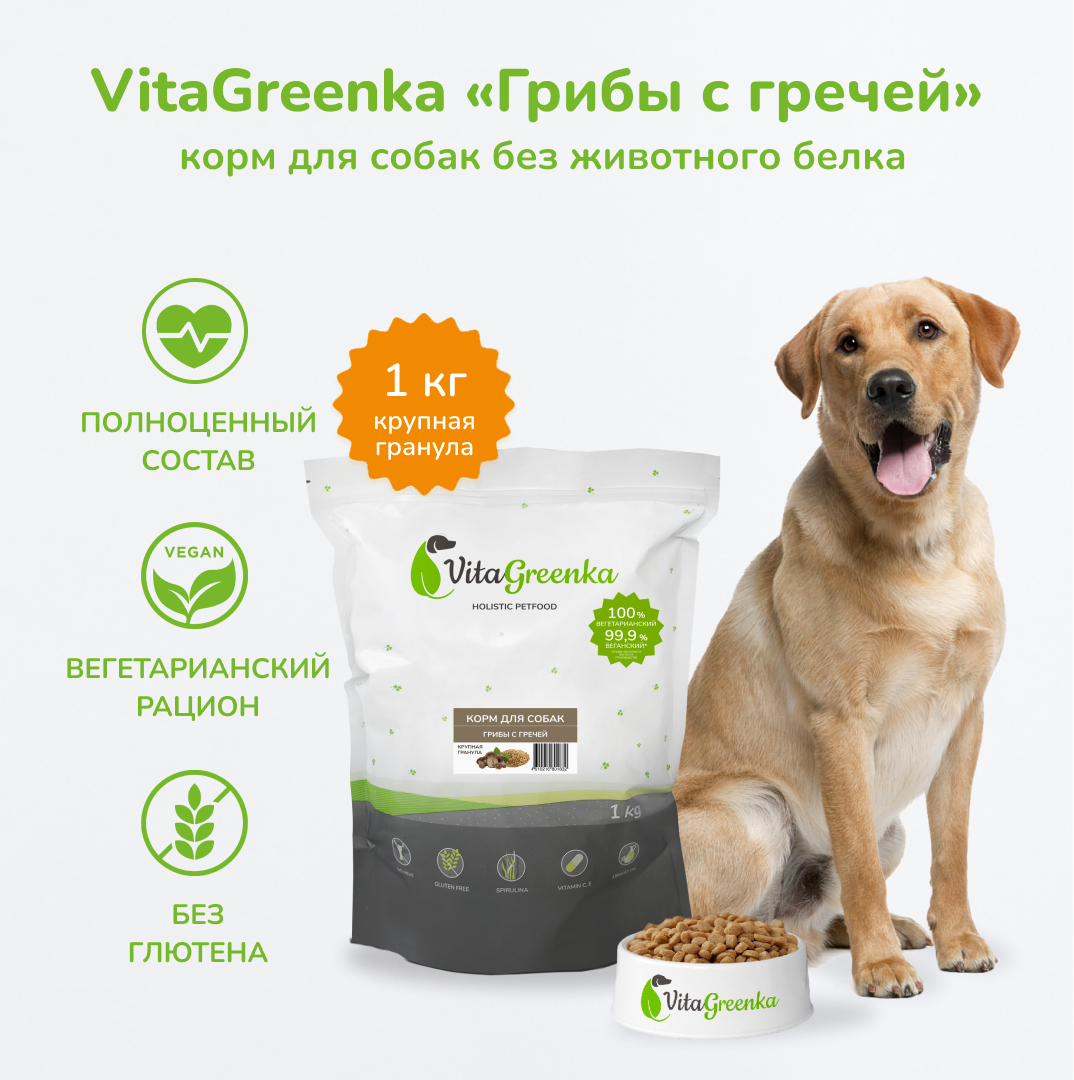 

Сухой корм для собак VitaGreenka, крупная гранула, грибы с гречей, 1 кг, Грибы с гречей