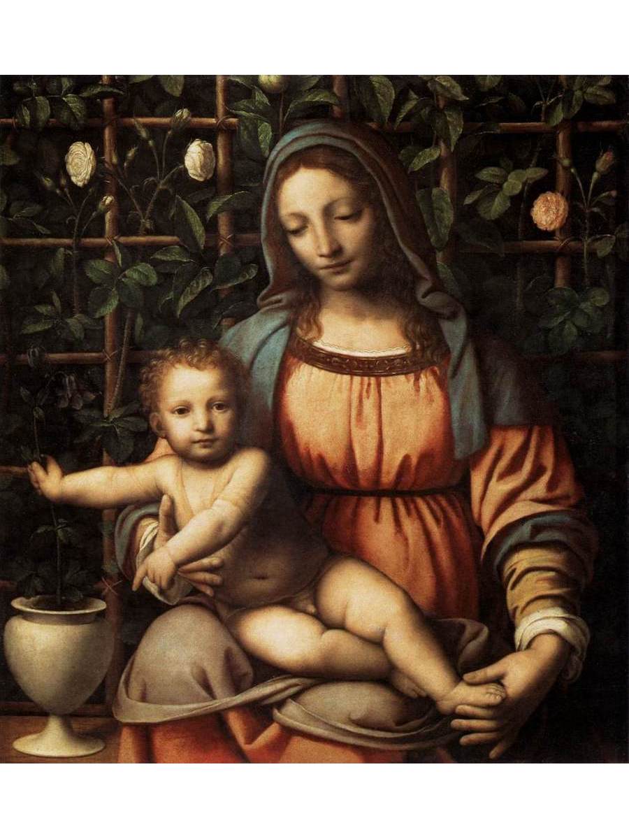 

Постер DRABS A3 Бернардино Луини Madonna in the Rose Garden