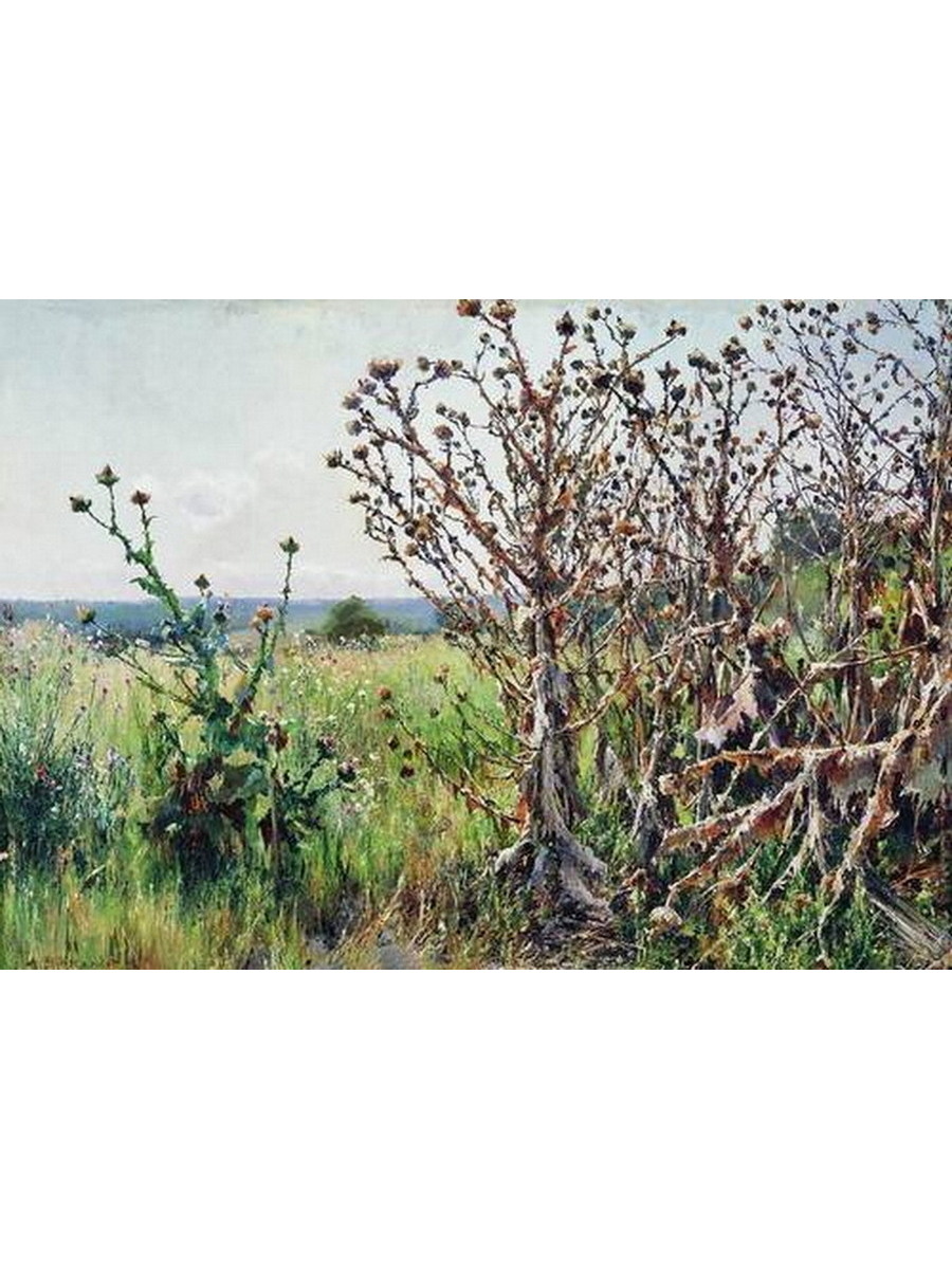 

Постер DRABS A3 Беркос Михаил Андреевич 1861-1919 Будяки