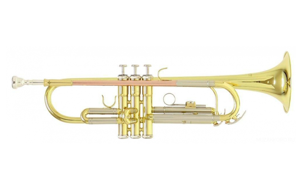 

Roy Benson Tr-202 Bb - труба (цвет золото), Золотистый