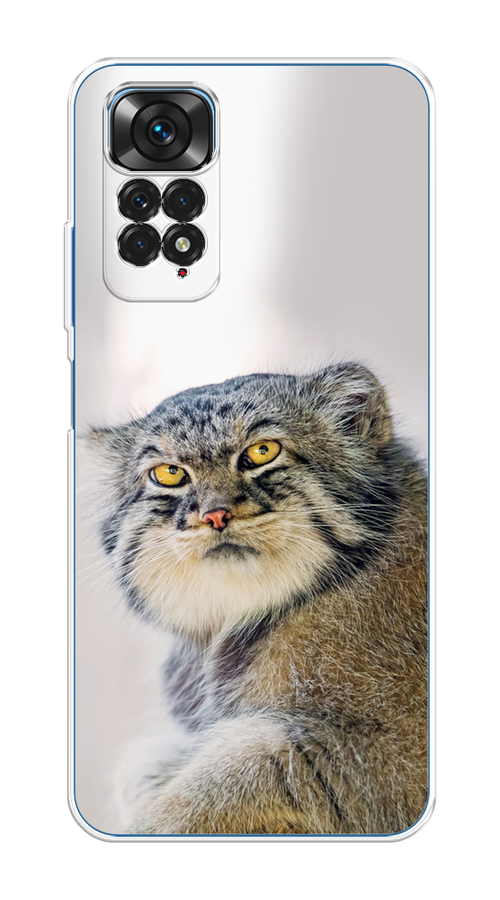 

Чехол на Xiaomi Redmi Note 11S "Кот манул 1", Серый;белый;желтый, 313850-1