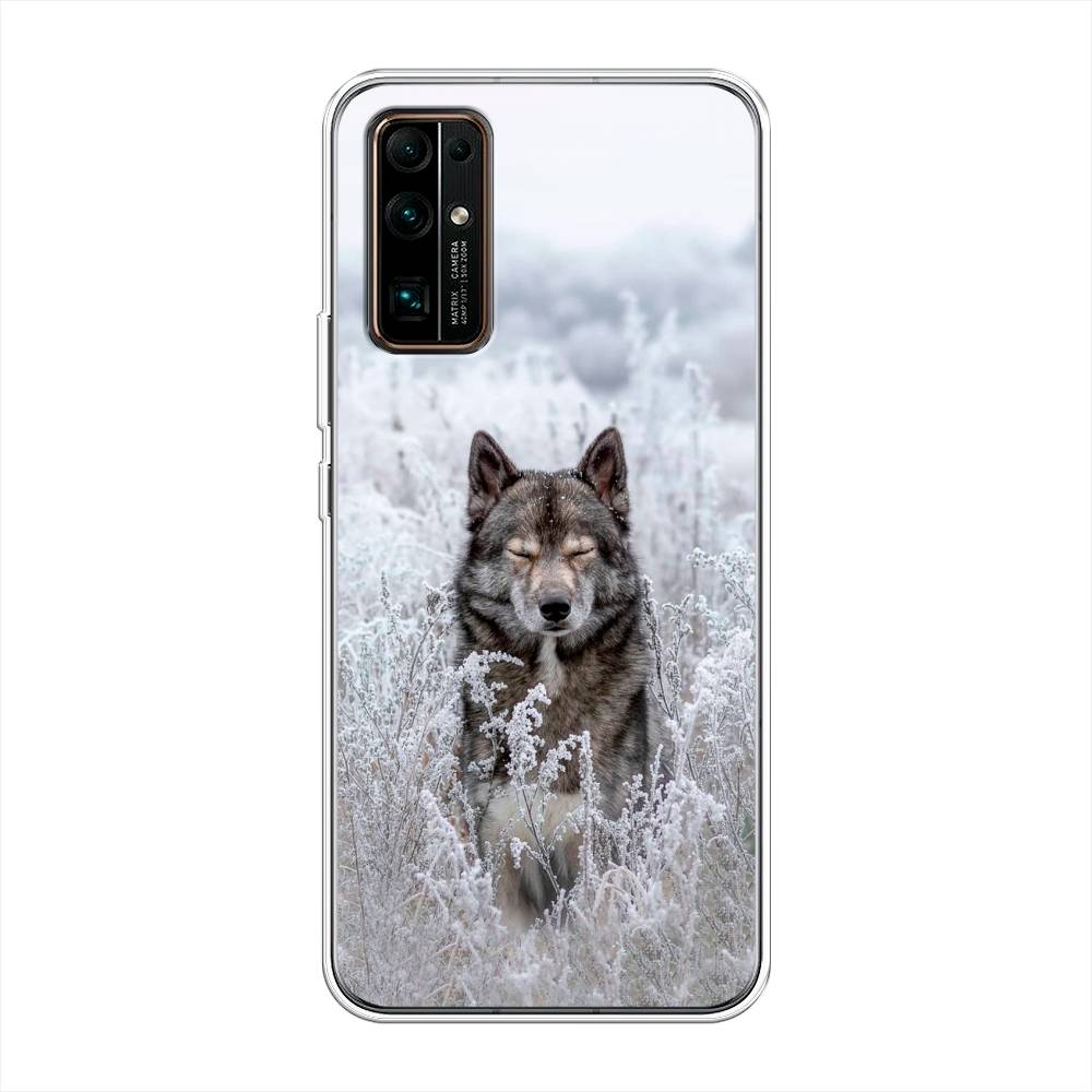 

Чехол Awog на Honor 30 "Волк в поле", Белый;черный, 612150-1