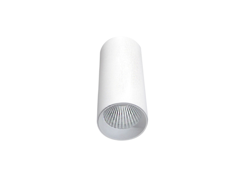 

Накладной светильник Donolux DL18895R30W1W