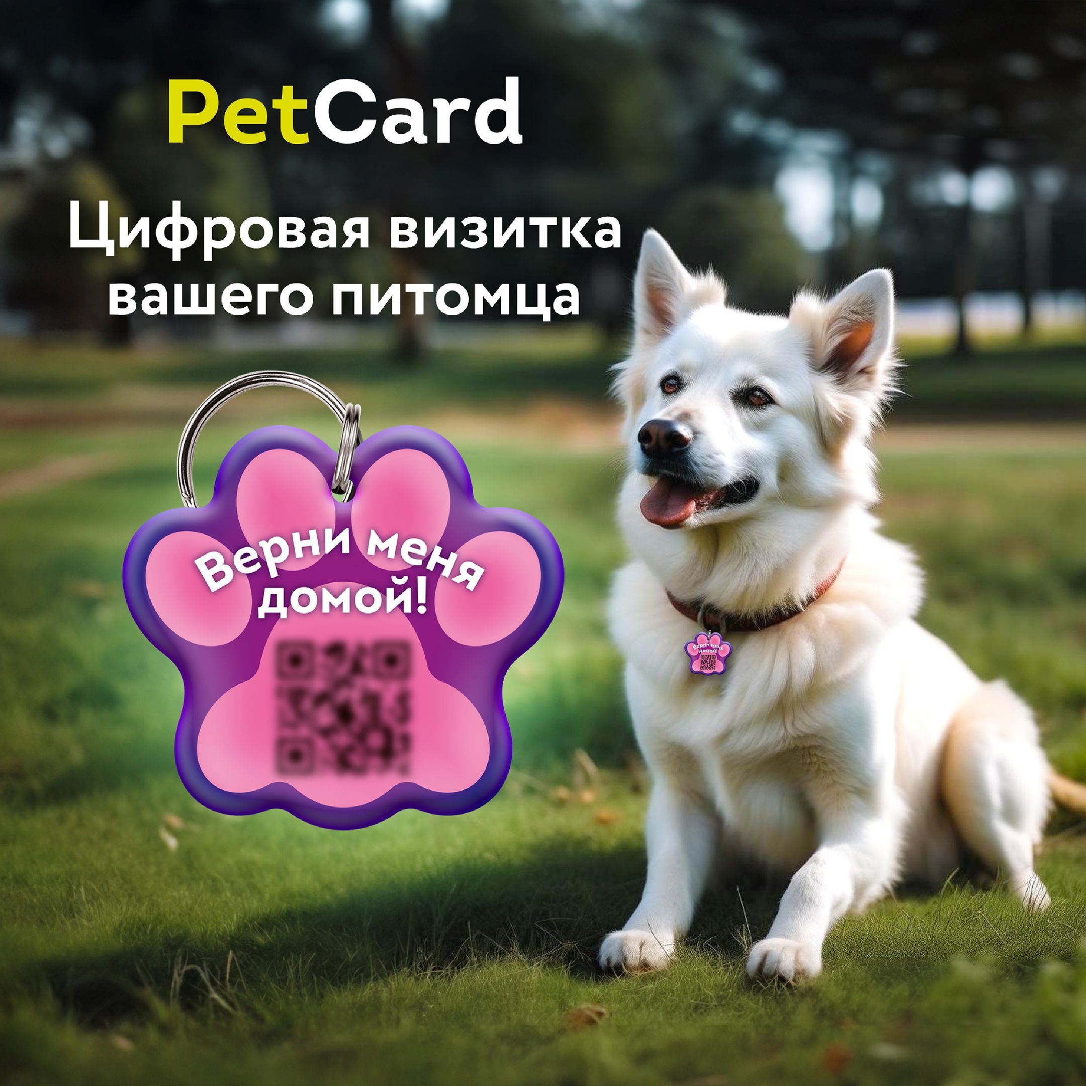 Адресник для собак и кошек PetCard с QR кодом и NFC розовый 36х33 мм 399₽