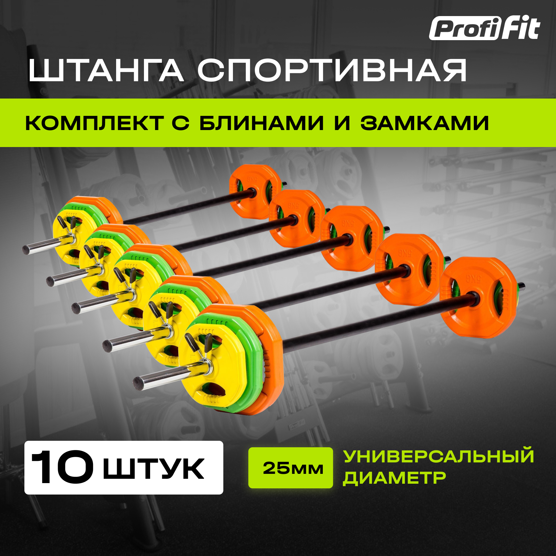 Штанга спортивная (Бодипамп) PROFI-FIT, разборная, 19 кг, набор 10 штук