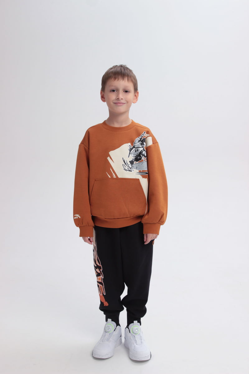 

Свитшот детский Anta Junior Player, Коричневый, 170, Junior Player