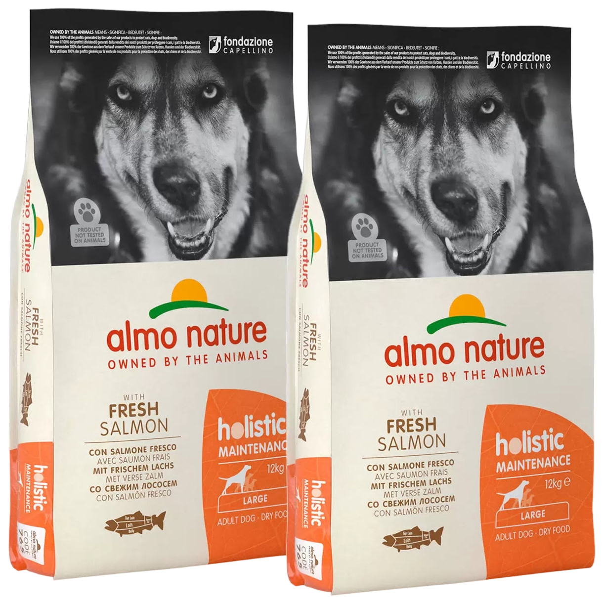 

Сухой корм для собак Almo Nature Adult Dog Large & Salmon, лосось, 2 шт по 12 кг