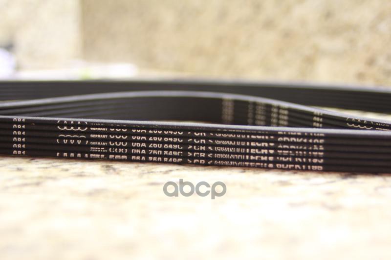 

Ремень ручейковый 6DPK1195 VAG 06a260849c, Ремень ручейковый 6DPK1195 VAG 06a260849c VAG 06a260849c