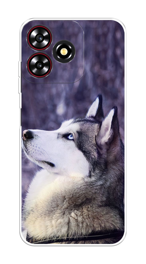 

Чехол на ZTE Blade V50 Smart "Хаски 1", Фиолетовый;белый, 136550-1