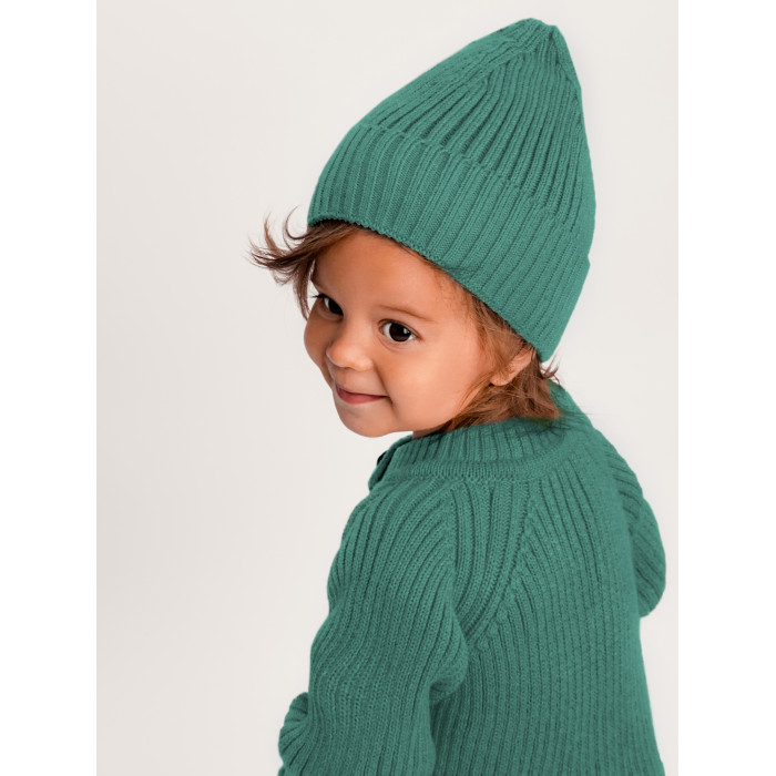 

Шапка детская Amarobaby AB-OD22-PLT16, зеленый, 42, AB-OD22-PLT16