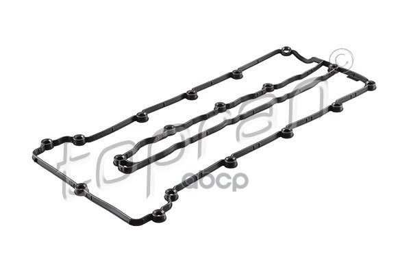 Прокладкa Клапанной Крышки (Замена Для Hp-409079755) topran арт. 409079001