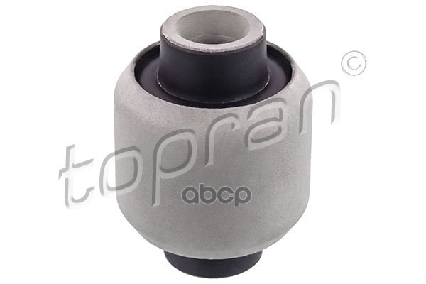 

Сайентблок Рычага Подвески (Замена Для Hp-407852755) topran арт. 407852001