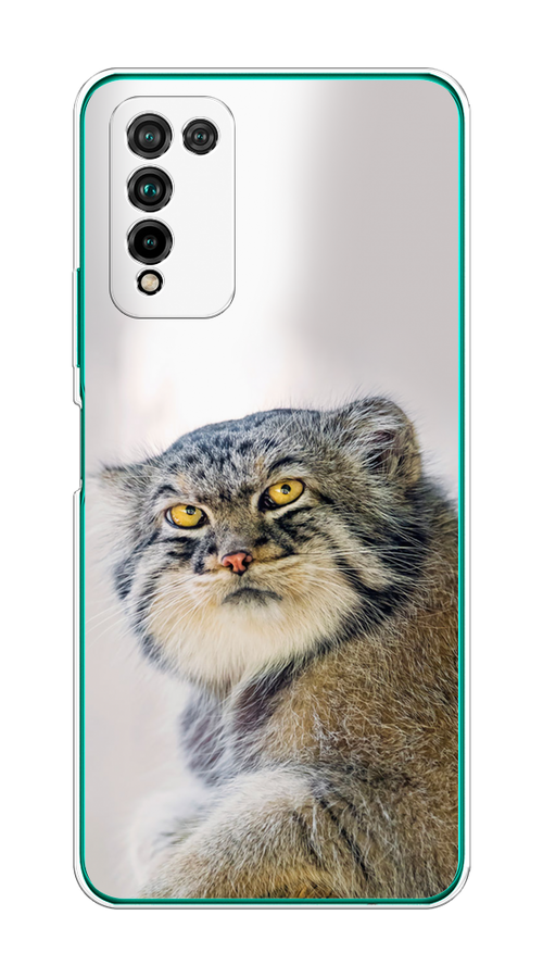 

Чехол на Honor 10X Lite "Кот манул 1", Серый;белый;желтый, 6104650-1