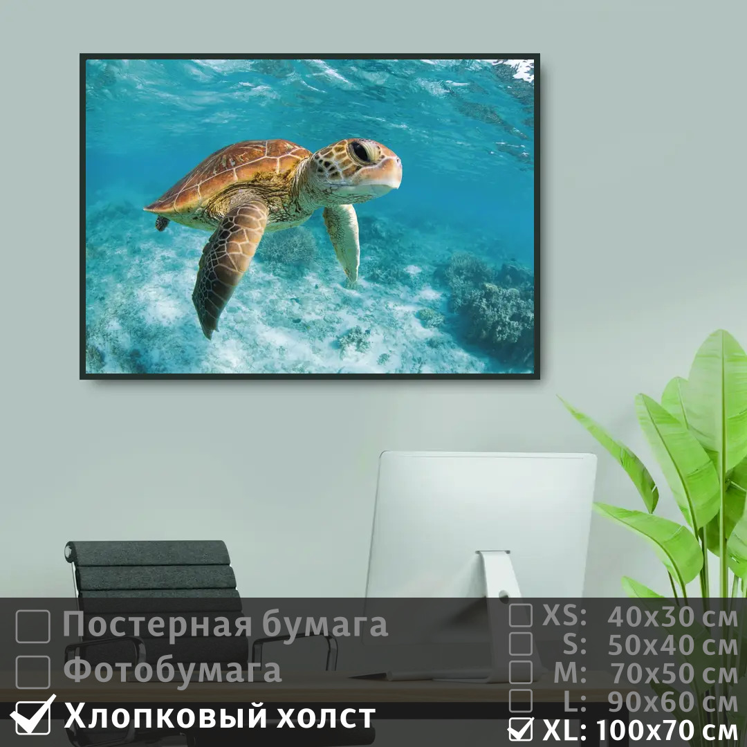 

Постер на холсте ПолиЦентр Черепаха под водой в океане 100х70 см, ЧерепахаПодВодойВОкеане1