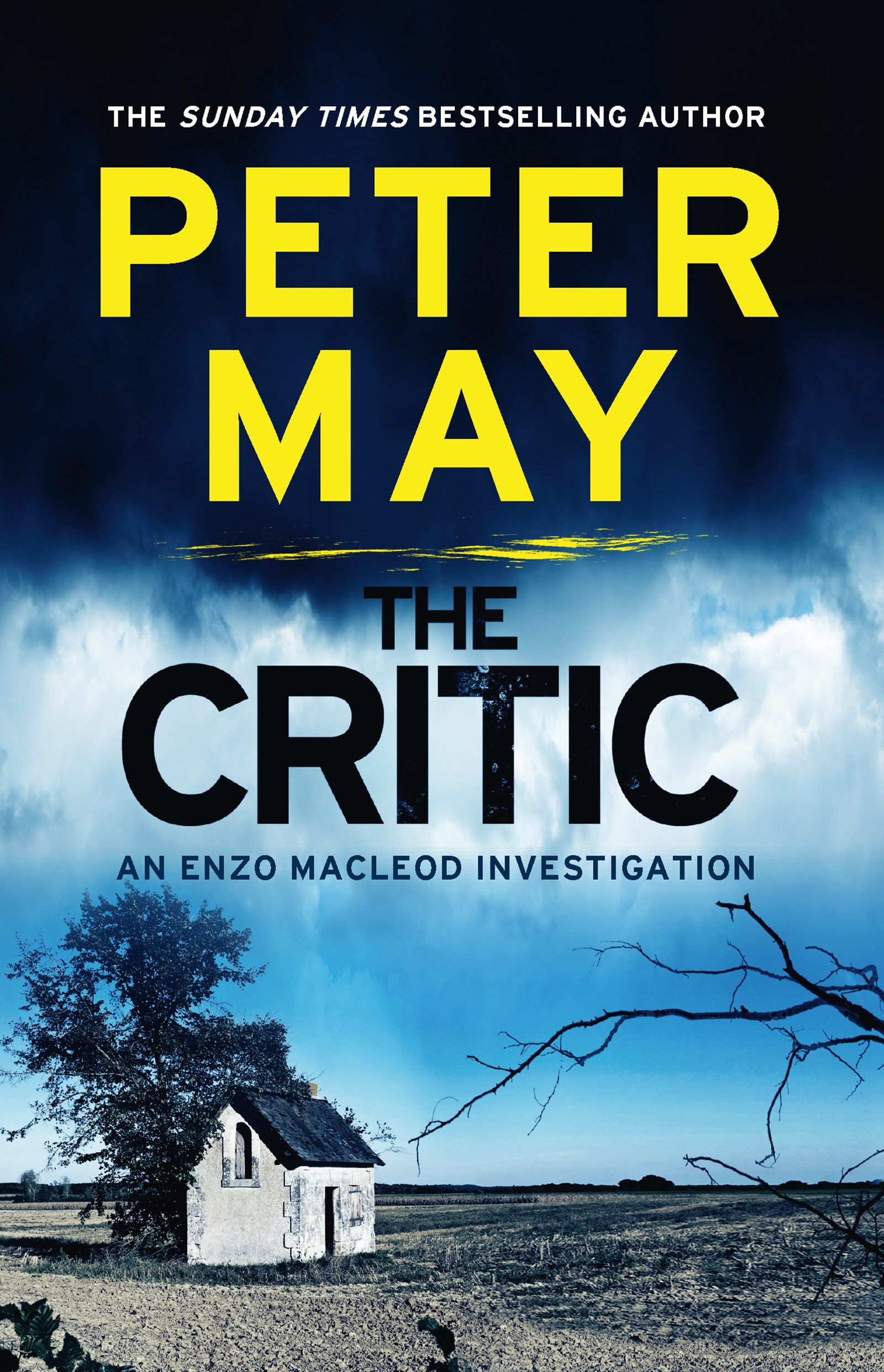 

The Critic