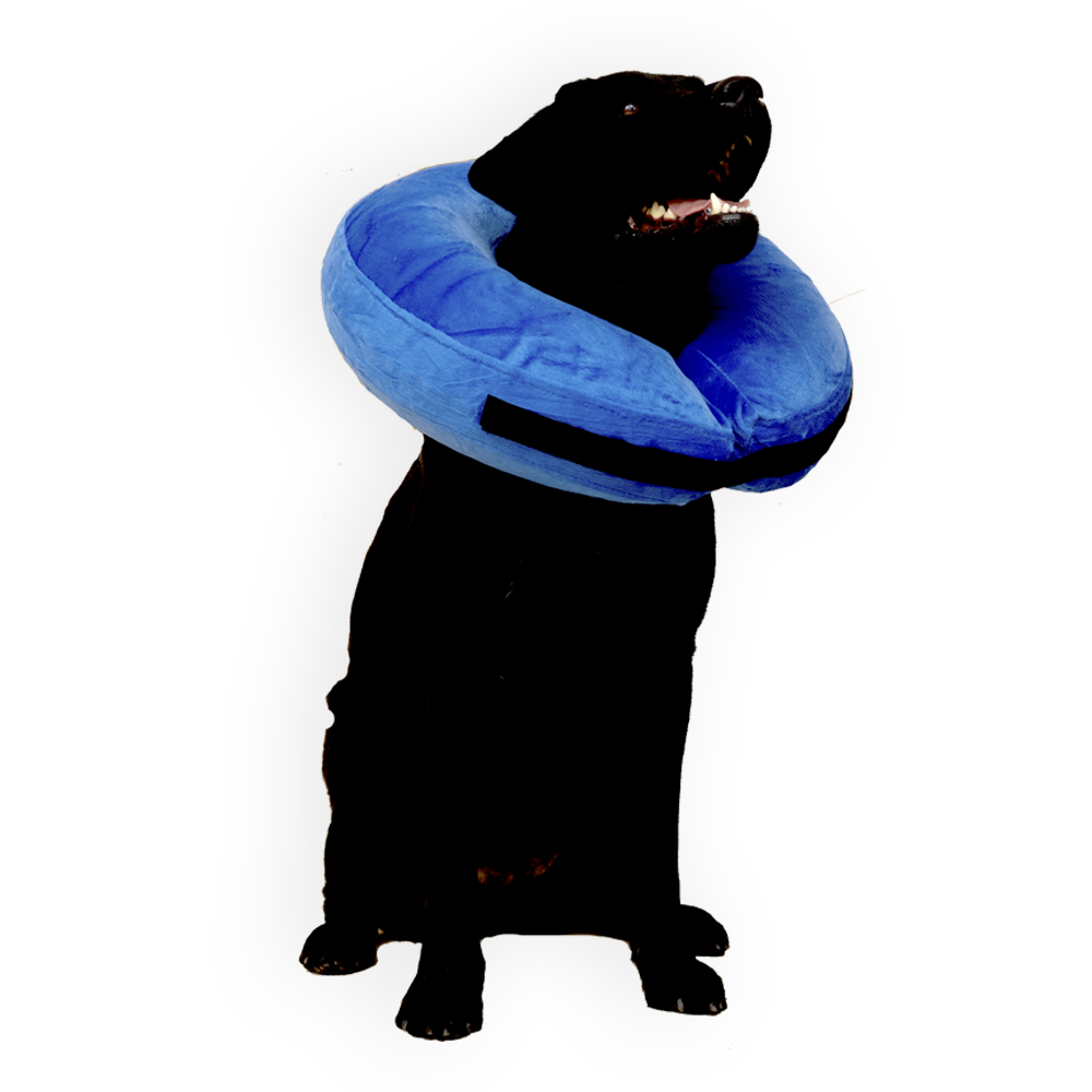 Защитный воротник для домашнего питомца MR DOG, синий, ПВХ, 58 см