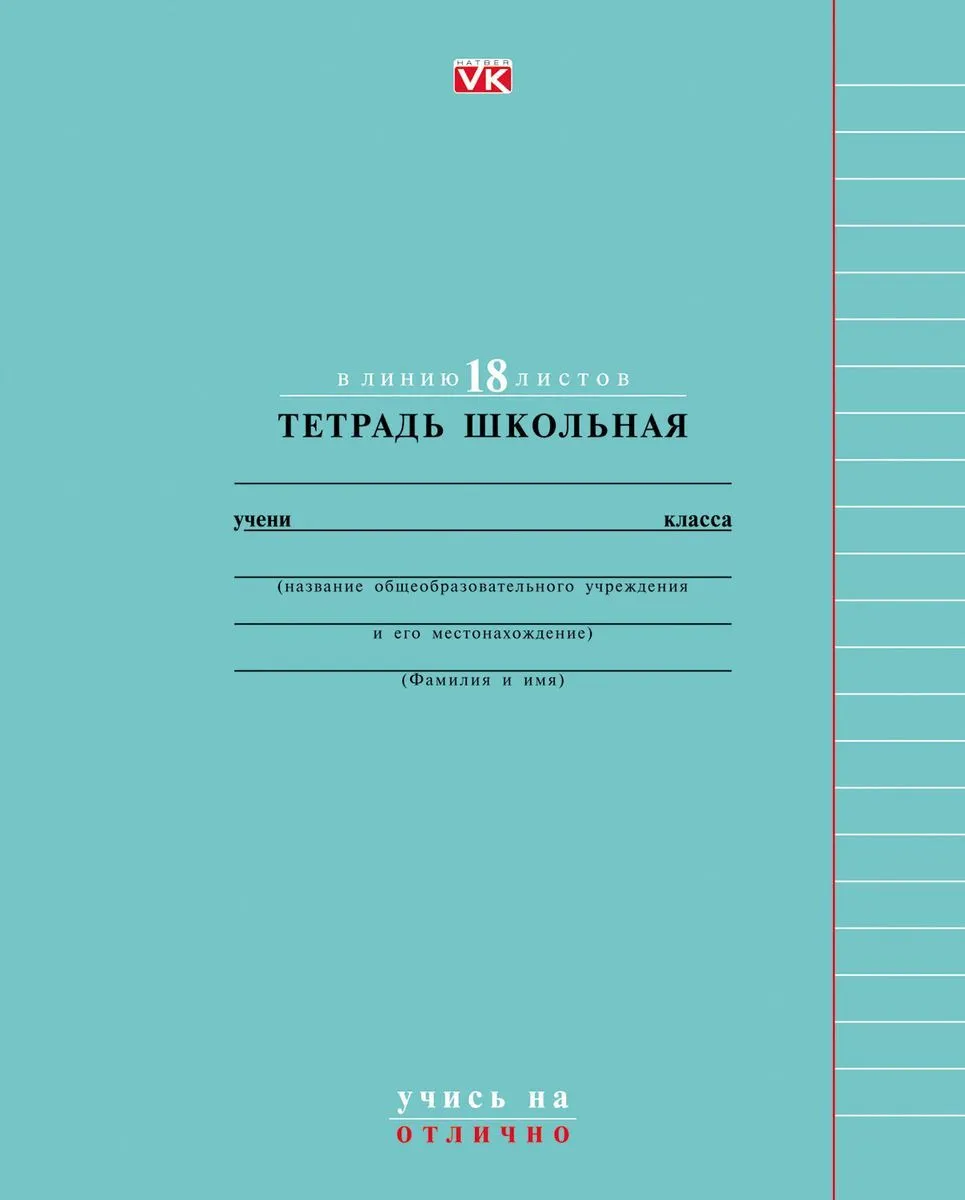 

Тетрадь ученическая 18 листов Ваш Канцтоварищ A5 линейка 1 шт