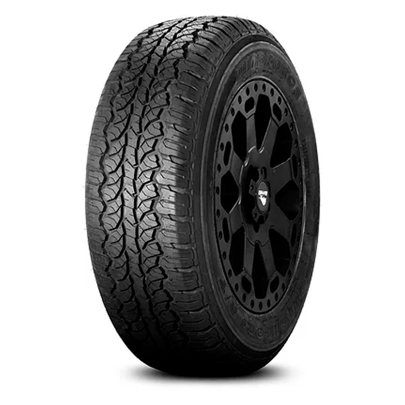 

Шины 245/65 R17 Windforce Catchfors A/T 107t WINDFORCE 1WI834H1