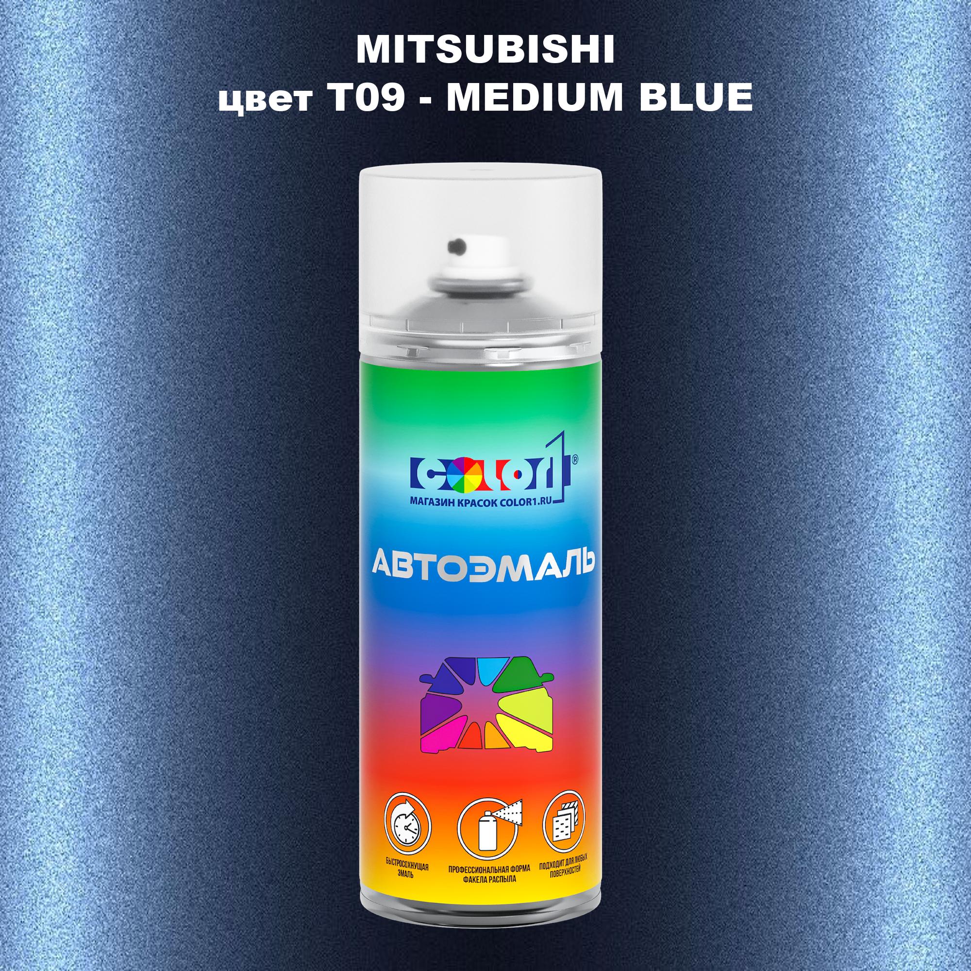 

Аэрозольная краска COLOR1 для MITSUBISHI, цвет T09 - MEDIUM BLUE, Прозрачный