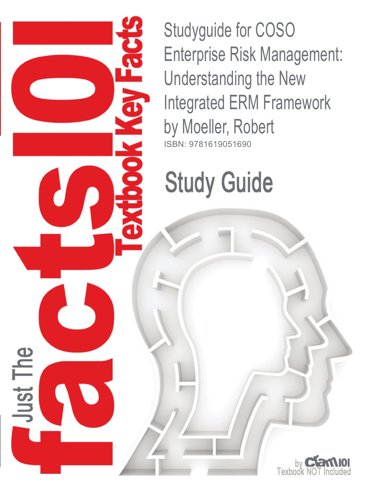 

Studyguide for Coso Enterprise Risk Management