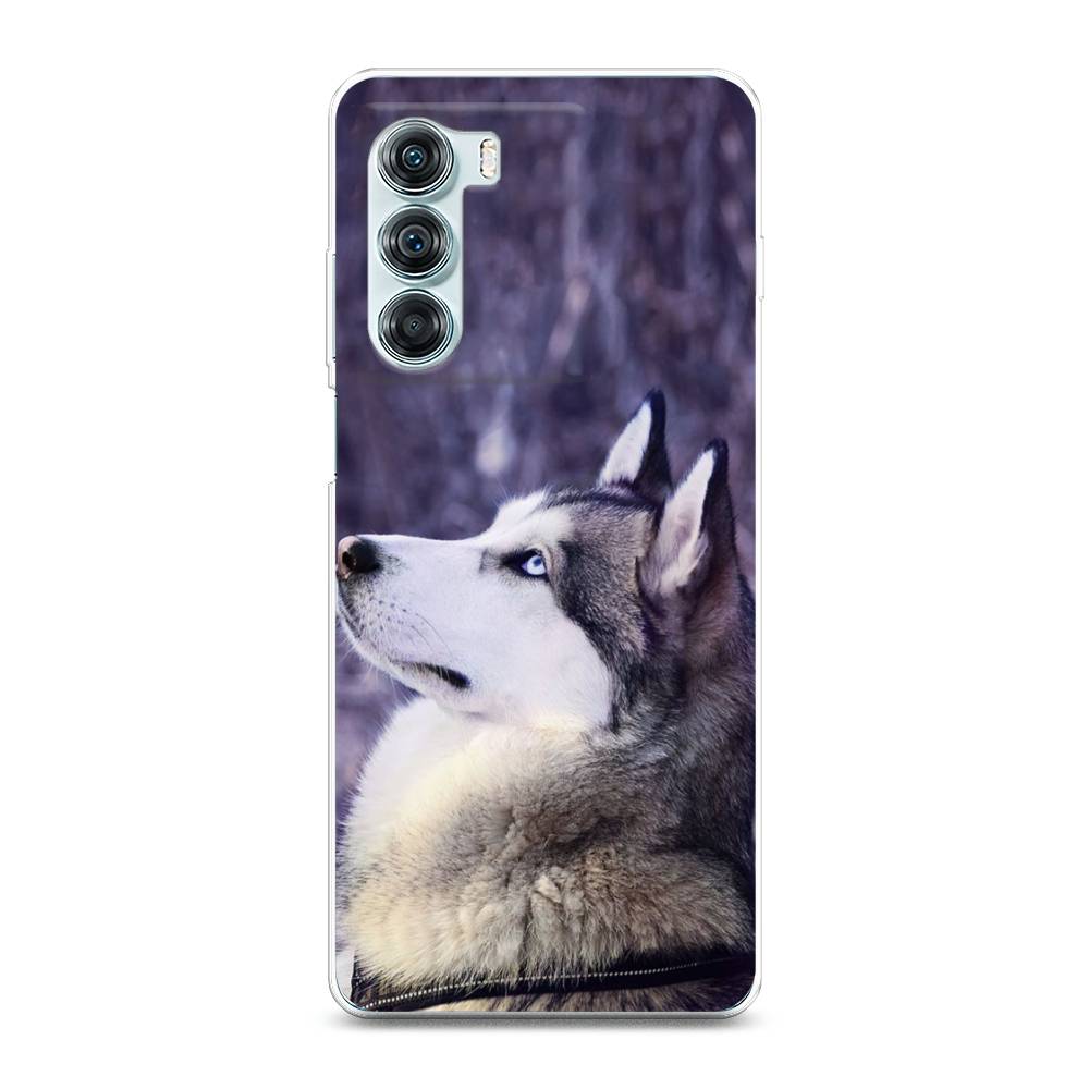 

Чехол на Motorola Moto Edge S30 "Хаски 1", Фиолетовый;белый, 243050-1