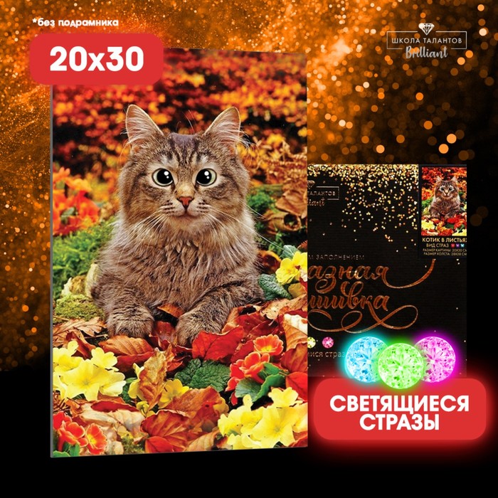 

Алмазная мозаика Школа талантов Котик в листьях, 20х30 см