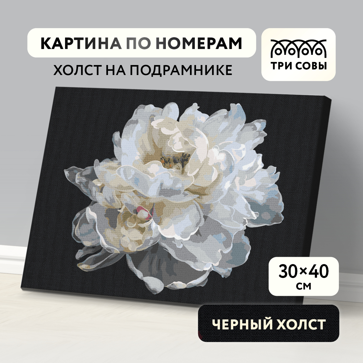 

Картина по номерам 30 x 40 Белый цветок набор для раскрашивания раскраска, КХп_48147