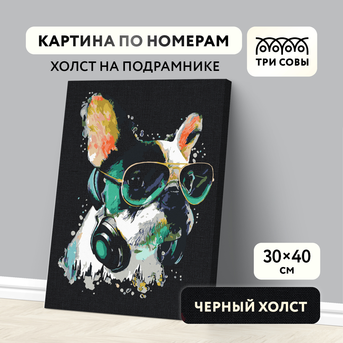 

Картина по номерам ТРИ СОВЫ 30 x 40 Меломан, КХп_48142