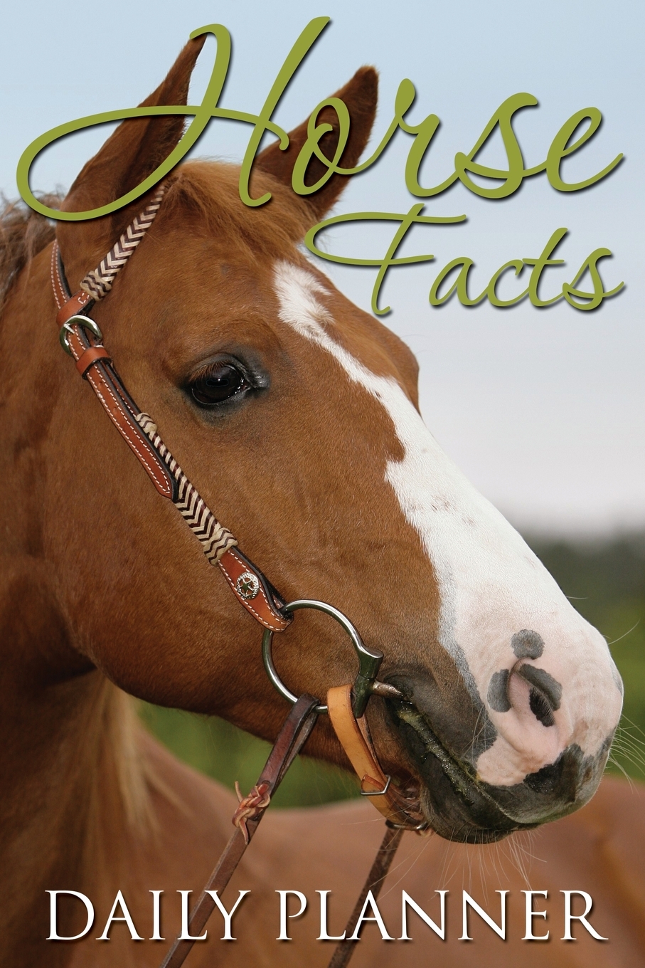 

Horse Facts Daily Planner