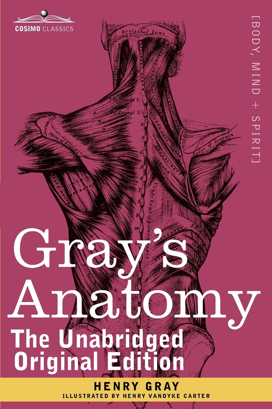 

Gray's Anatomy