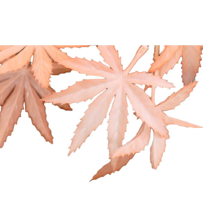 Декор Звёздный анис 60 см коралловый