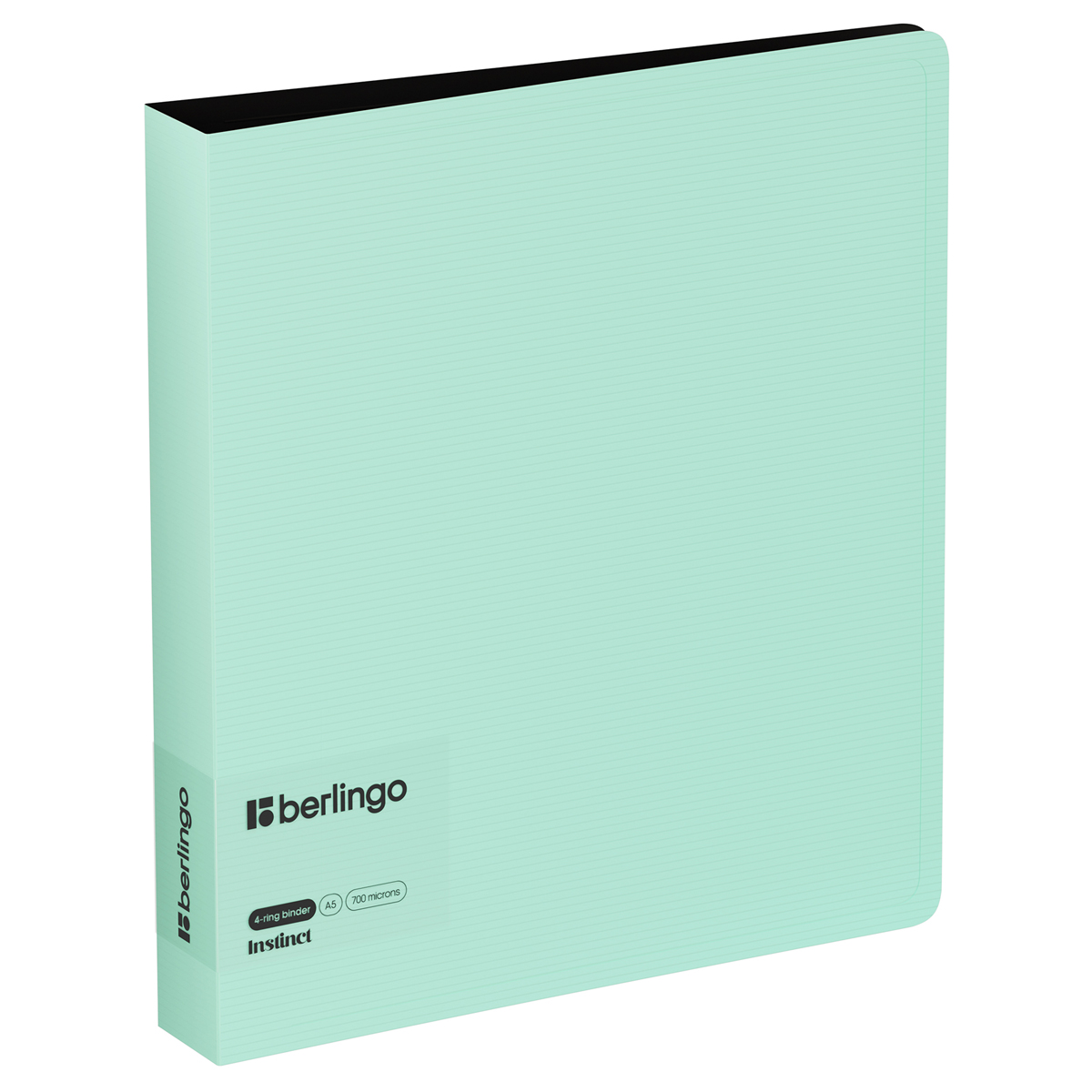 

Папка на 4 кольцах Berlingo Instinct А5 35мм 700мкм с внутренним карманом мятный, Зеленый, RB4_A5520
