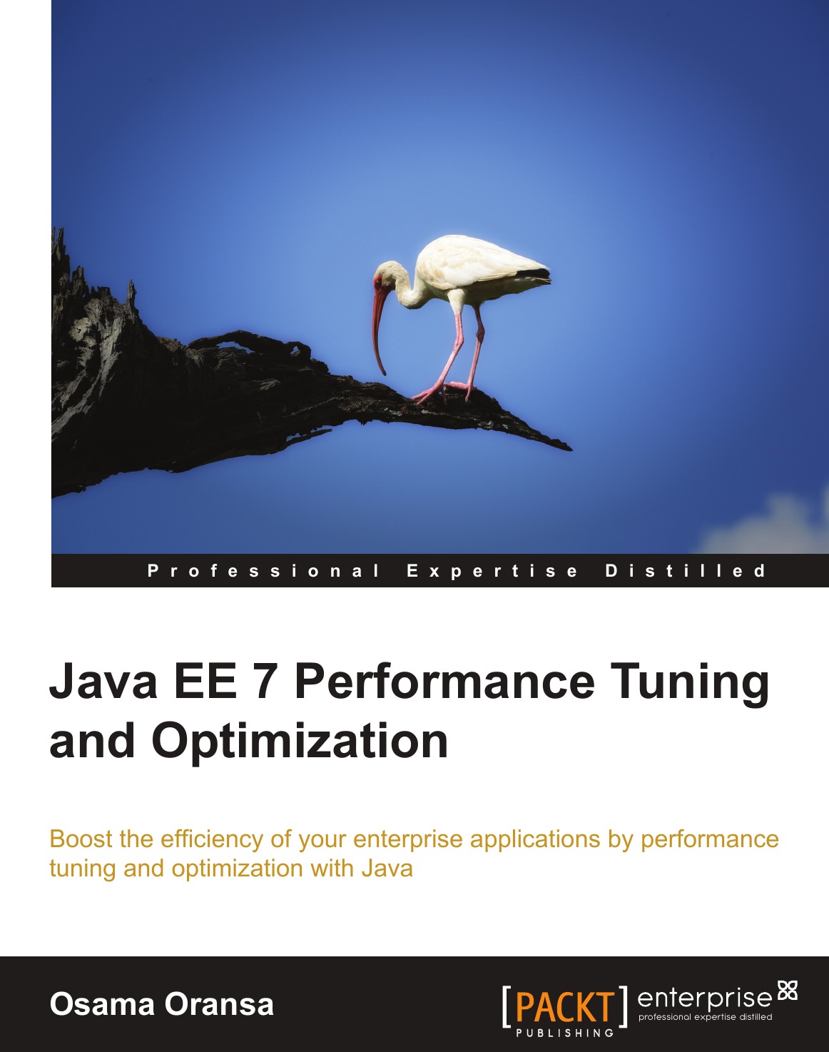 

Java Ee 7 Performance Tuning and Optimization