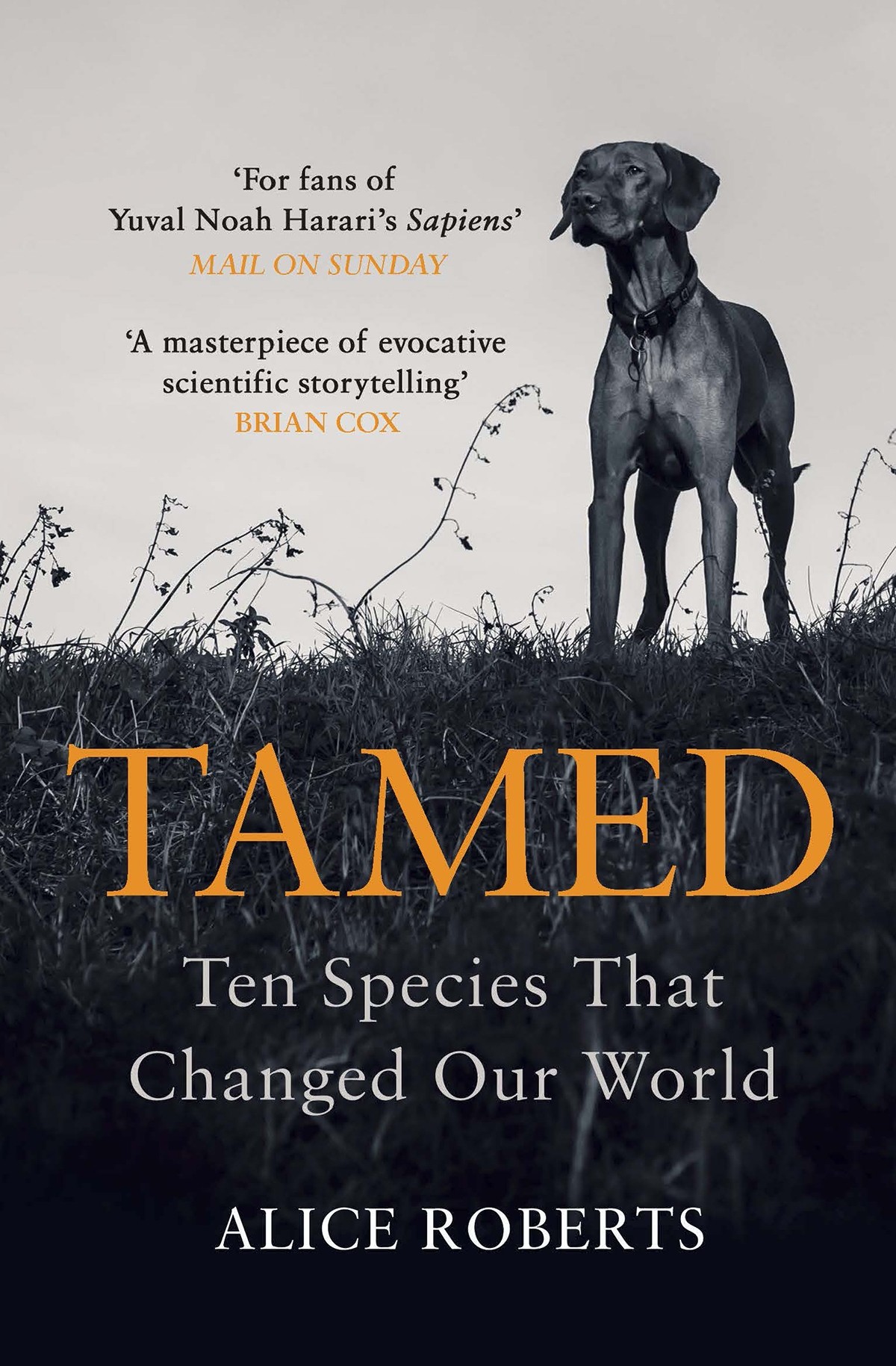 

Tamed Ten Species that Changed Our World