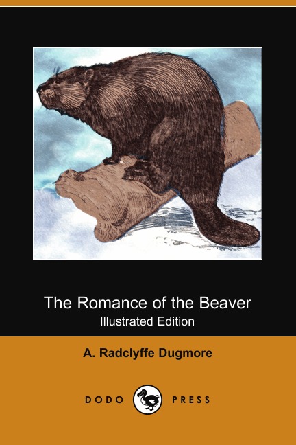 

The Romance of the Beaver