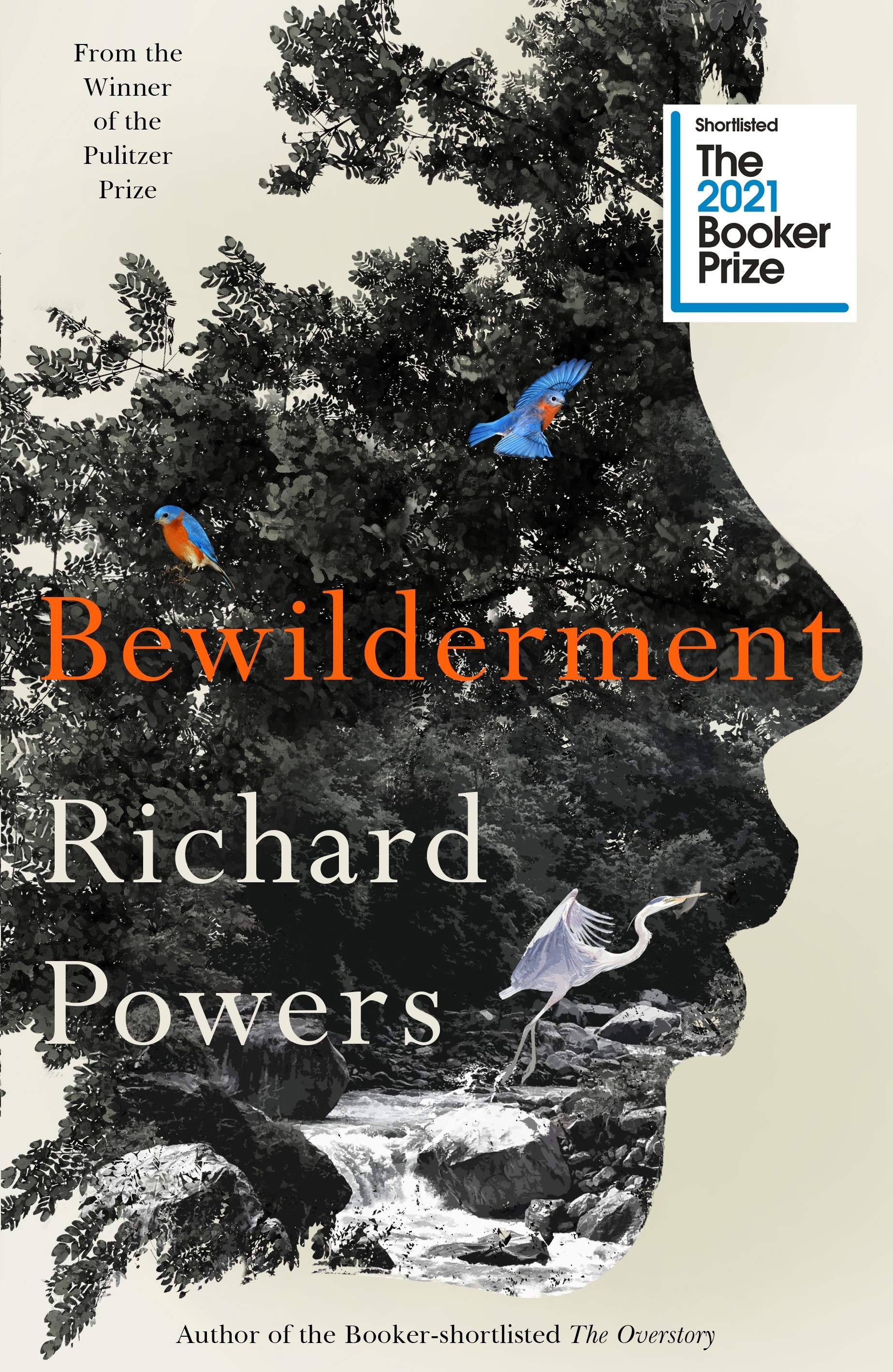 

Bewilderment