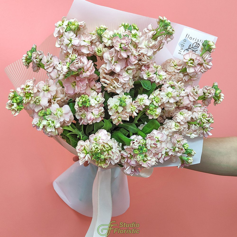 

Букет Studio Floristic из маттиол "Кремовая", Маттиола