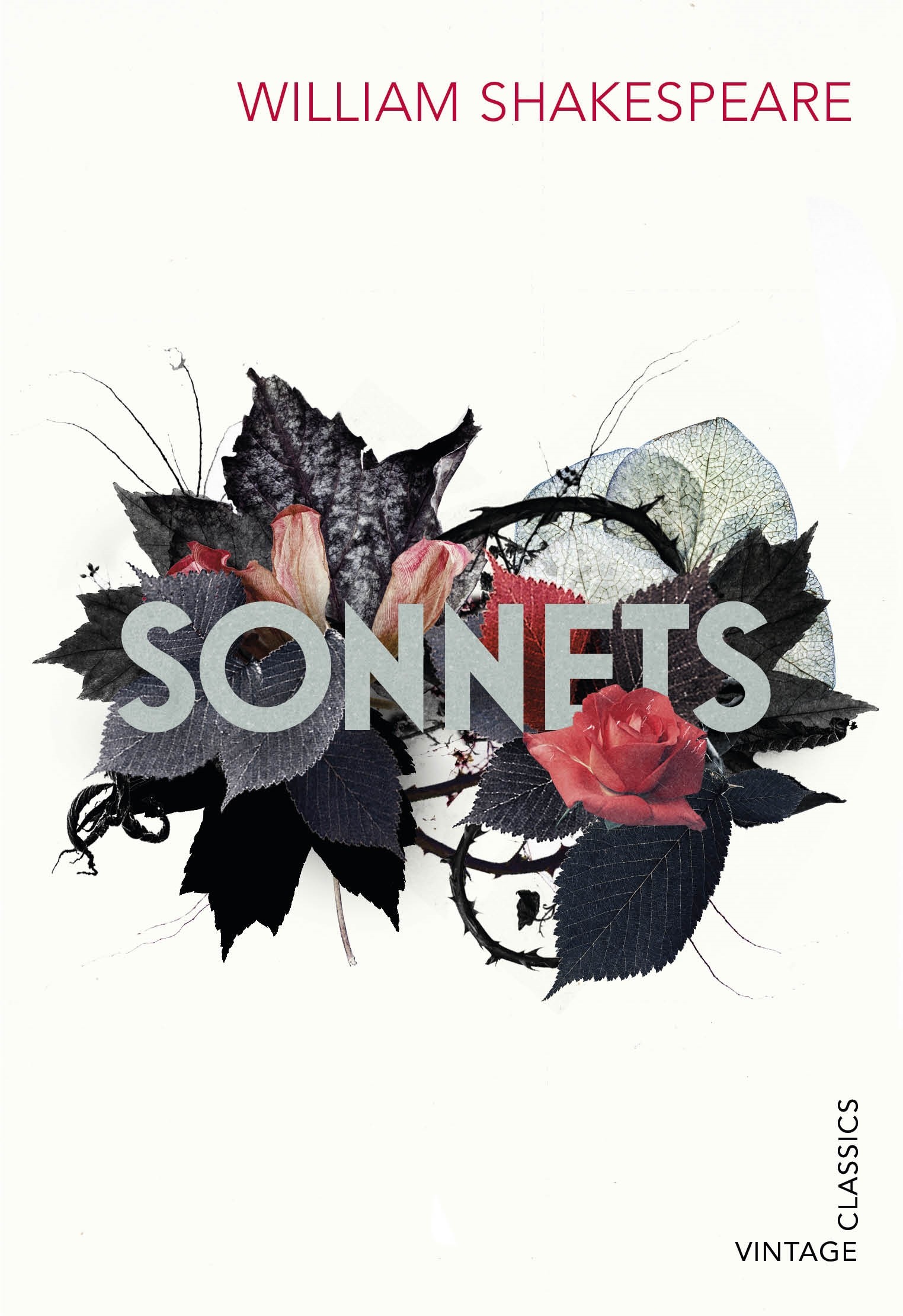 

Sonnets