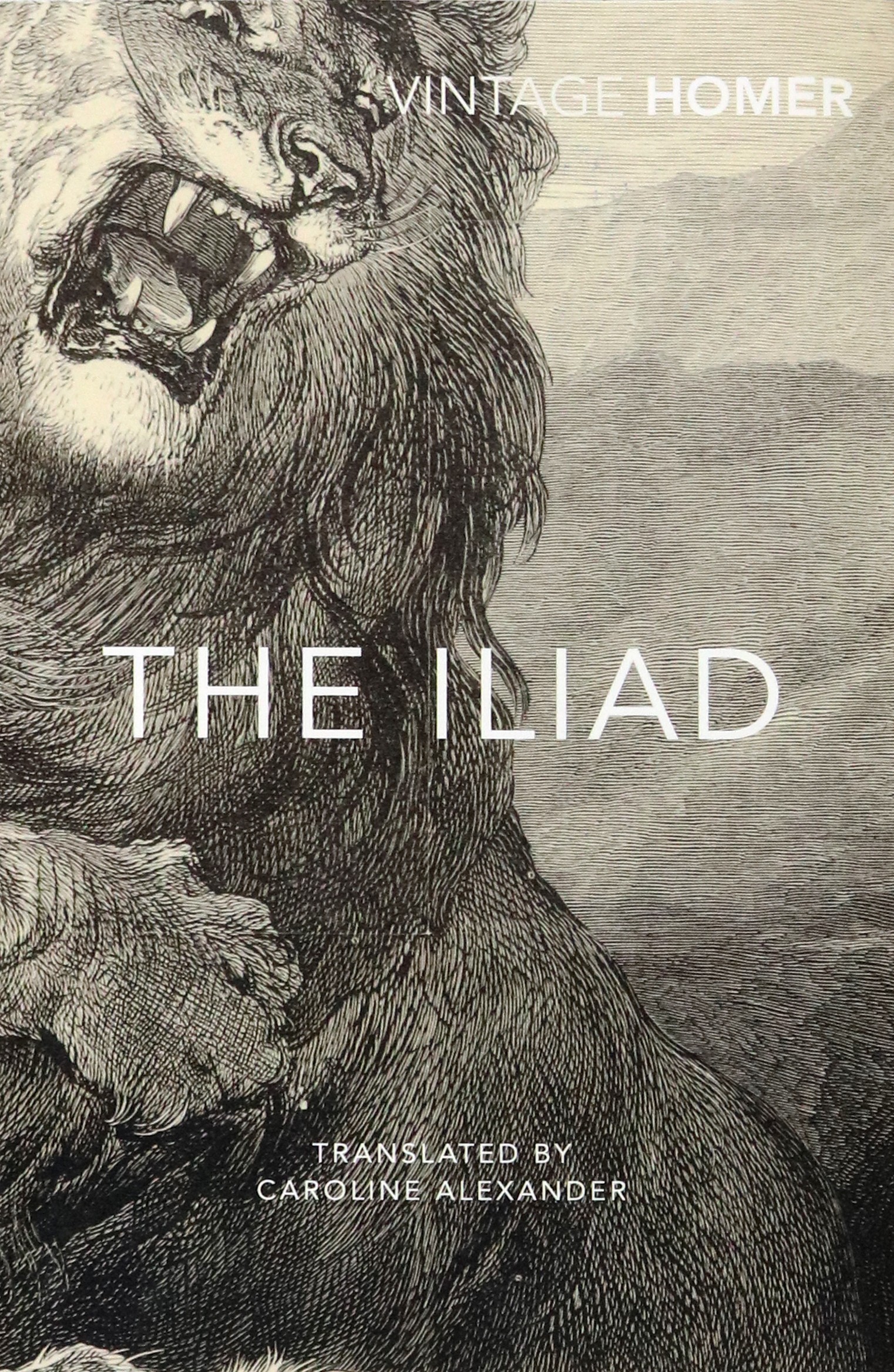 

The Iliad