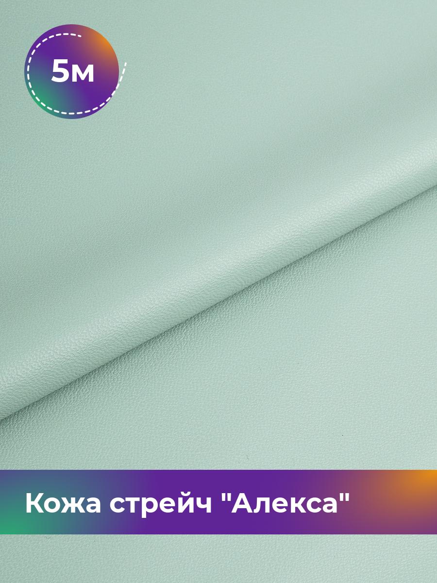 

Ткань Кожа стрейч Алекса Shilla, отрез 5 м * 138 см, мятный 017, Бирюзовый, 4805732