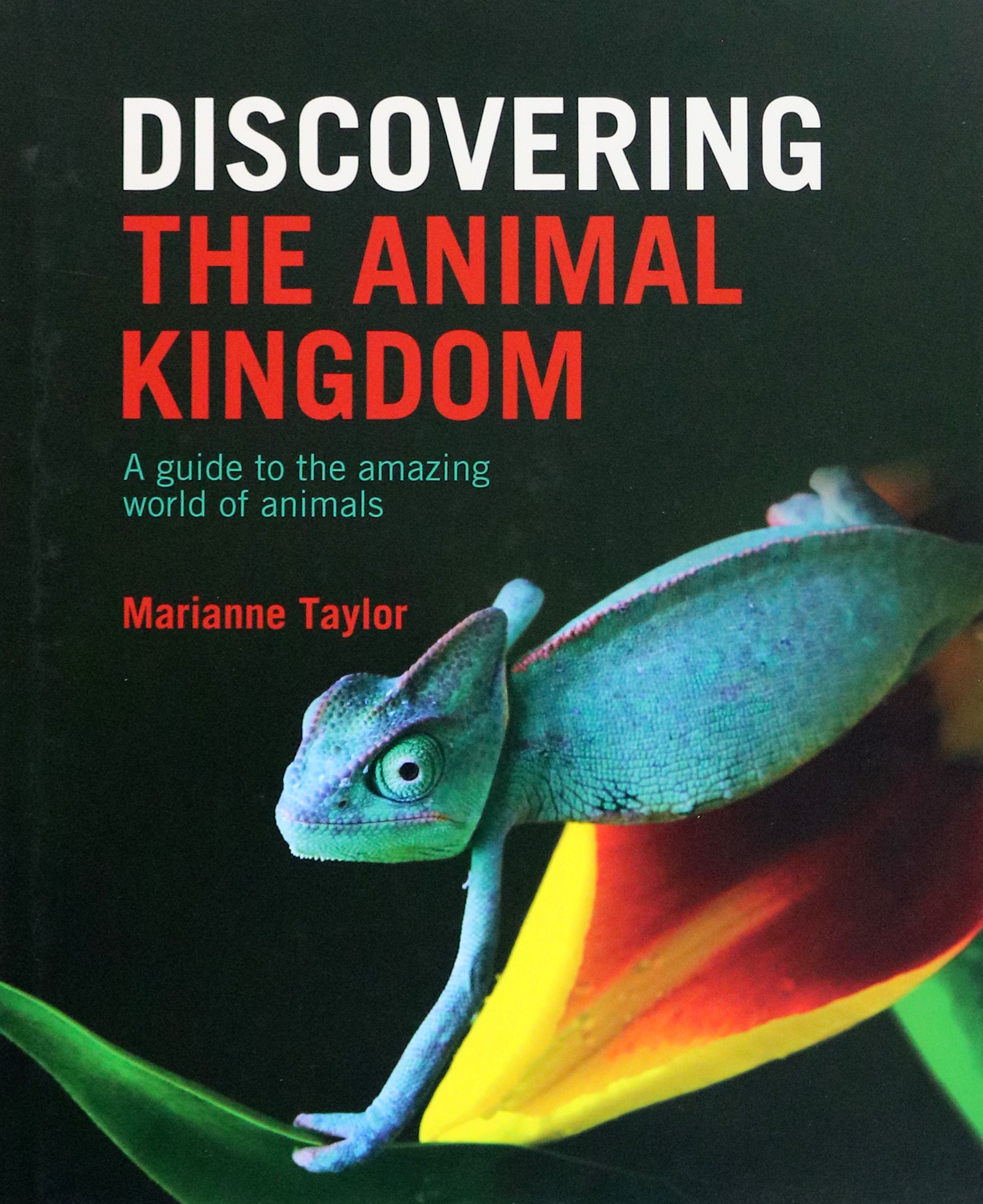 

Discovering The Animal Kingdom A guide to the amazing world of animals