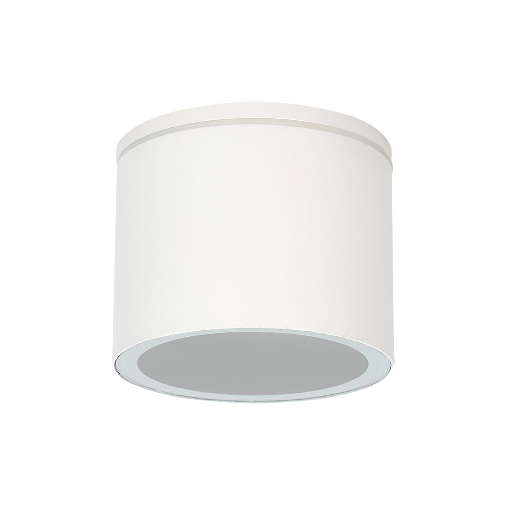 

Уличный потолочный светильник Arte Lamp PIAUTOS A1913PF-1WH, Piautos