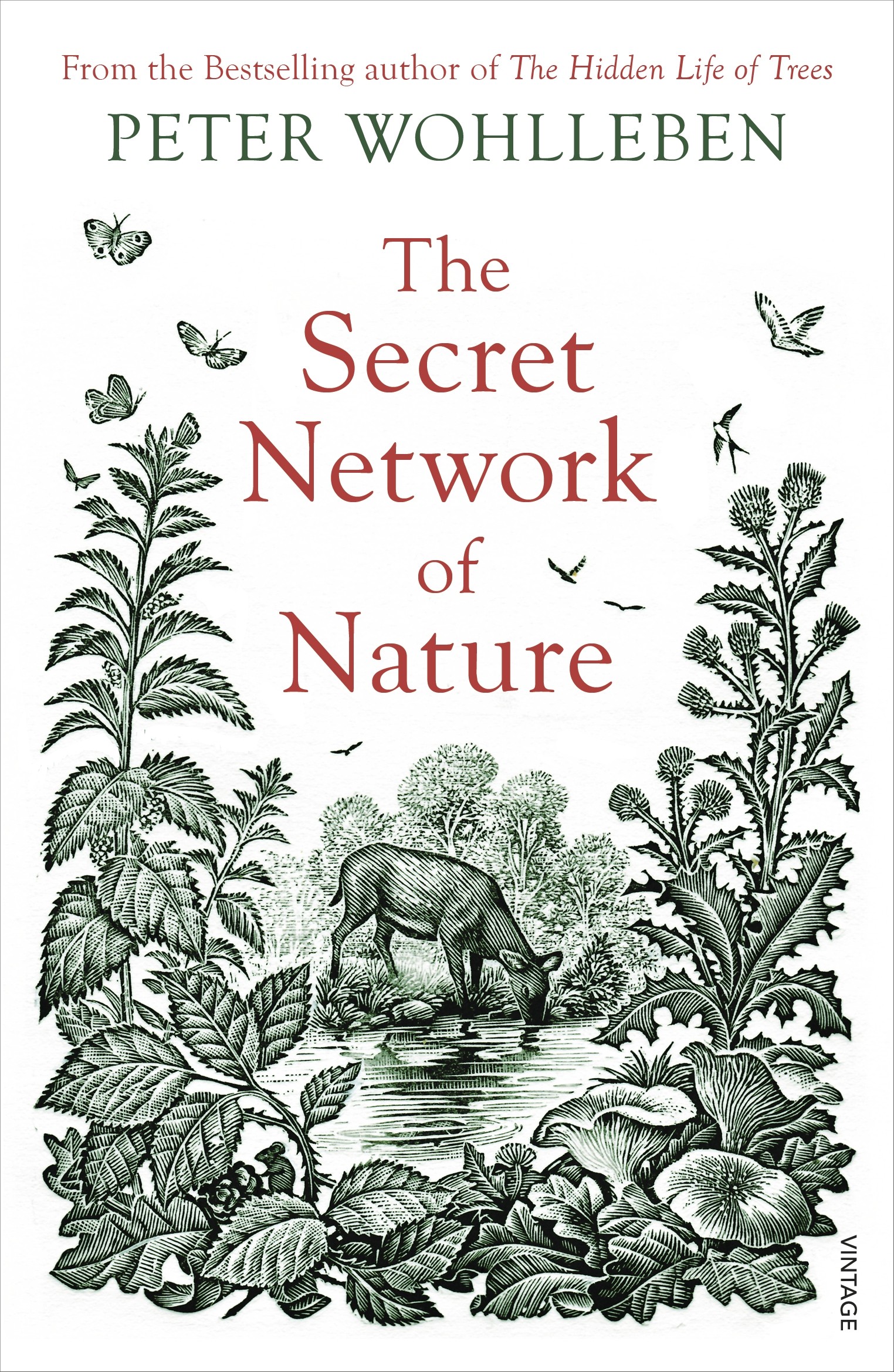 

The Secret Network of Nature