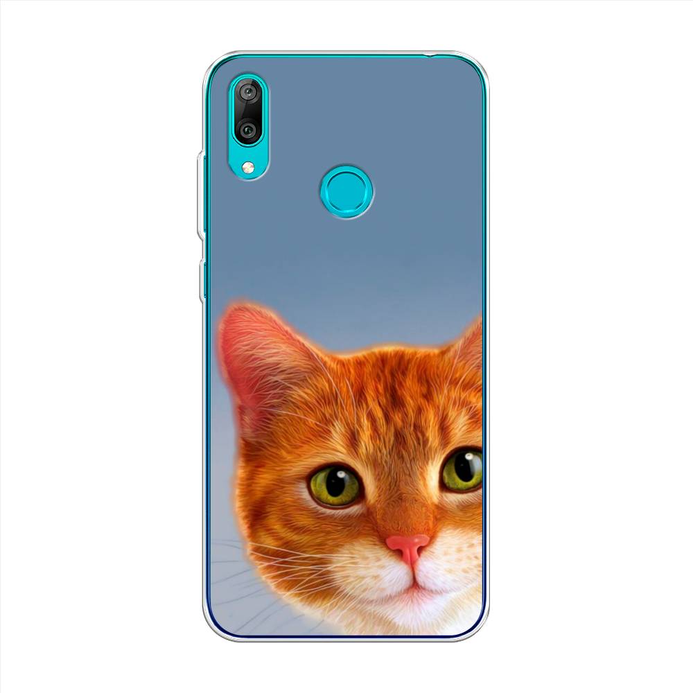 

Чехол на Huawei Y7 2019 "Любопытный котик", Коричневый, 68450-1