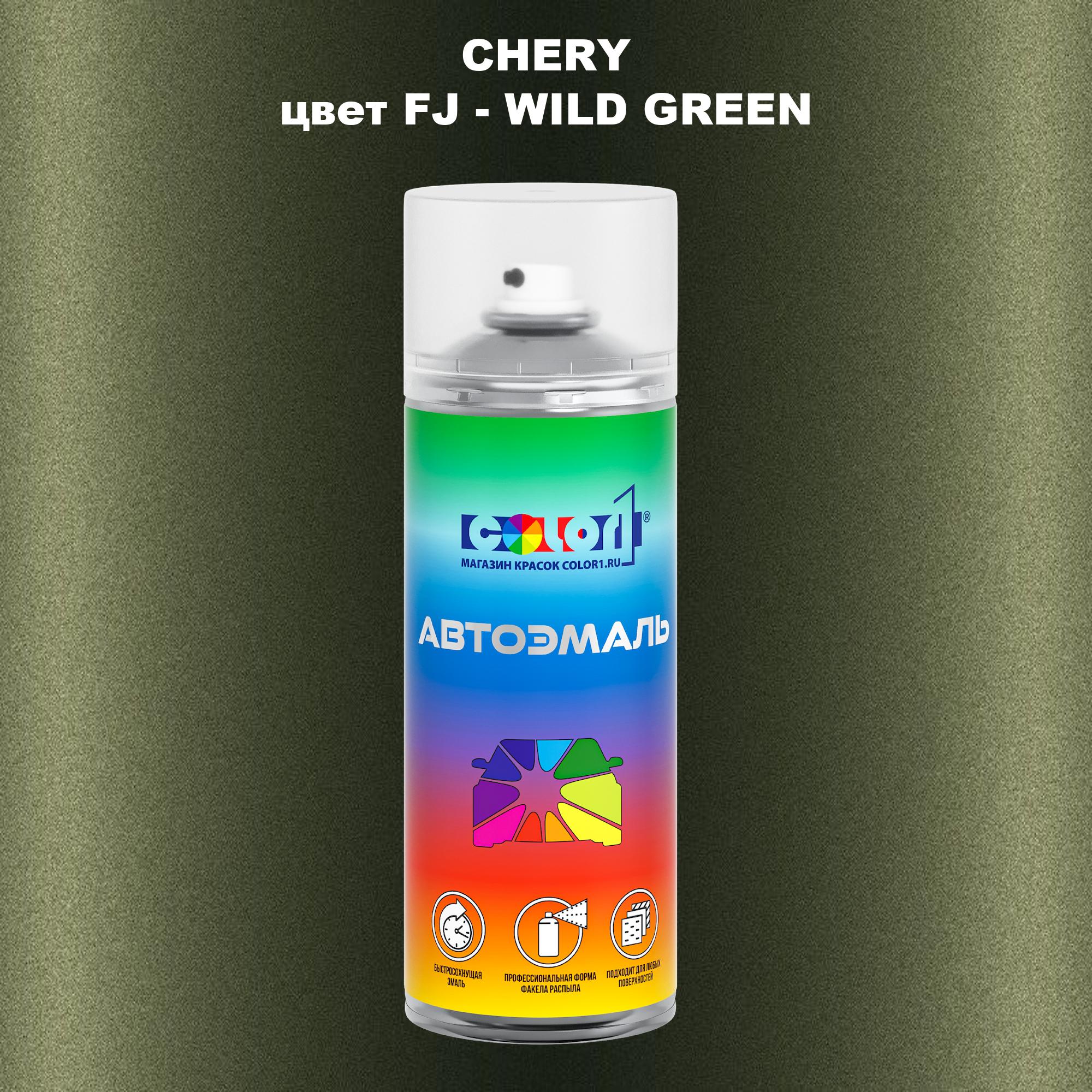 

Аэрозольная краска COLOR1 для CHERY, цвет FJ - WILD GREEN, Прозрачный