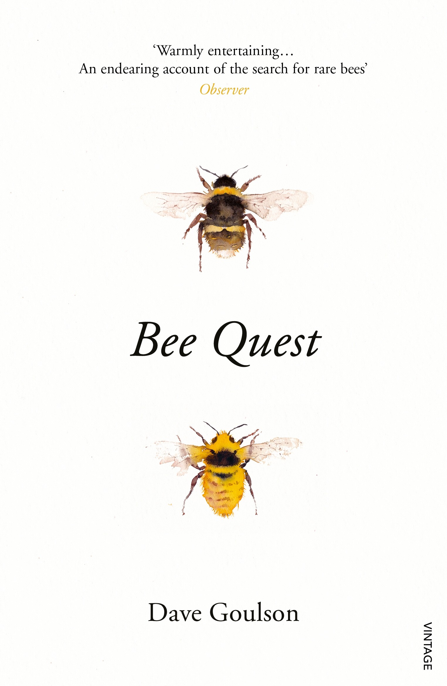 

Bee Quest