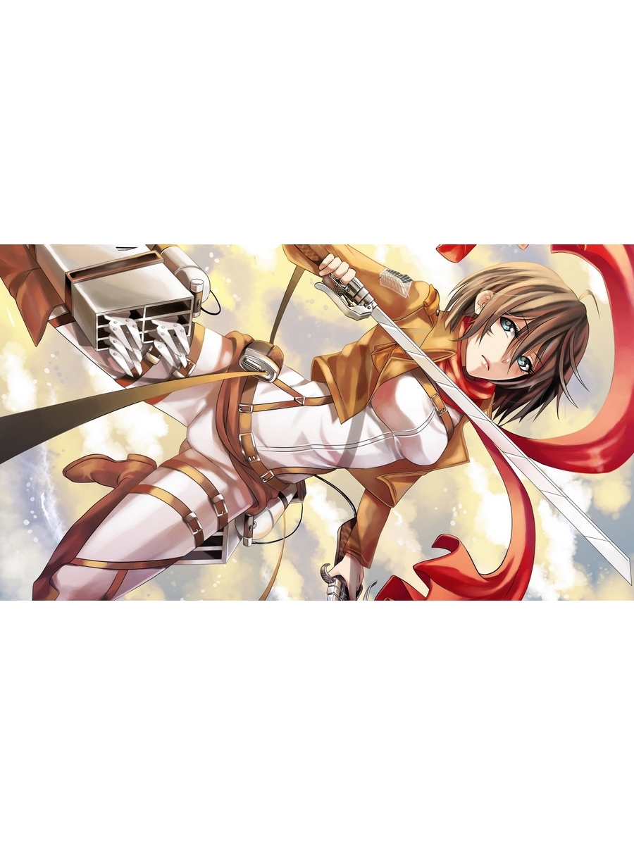

Постер DRABS A2 Mikasa Ackerman