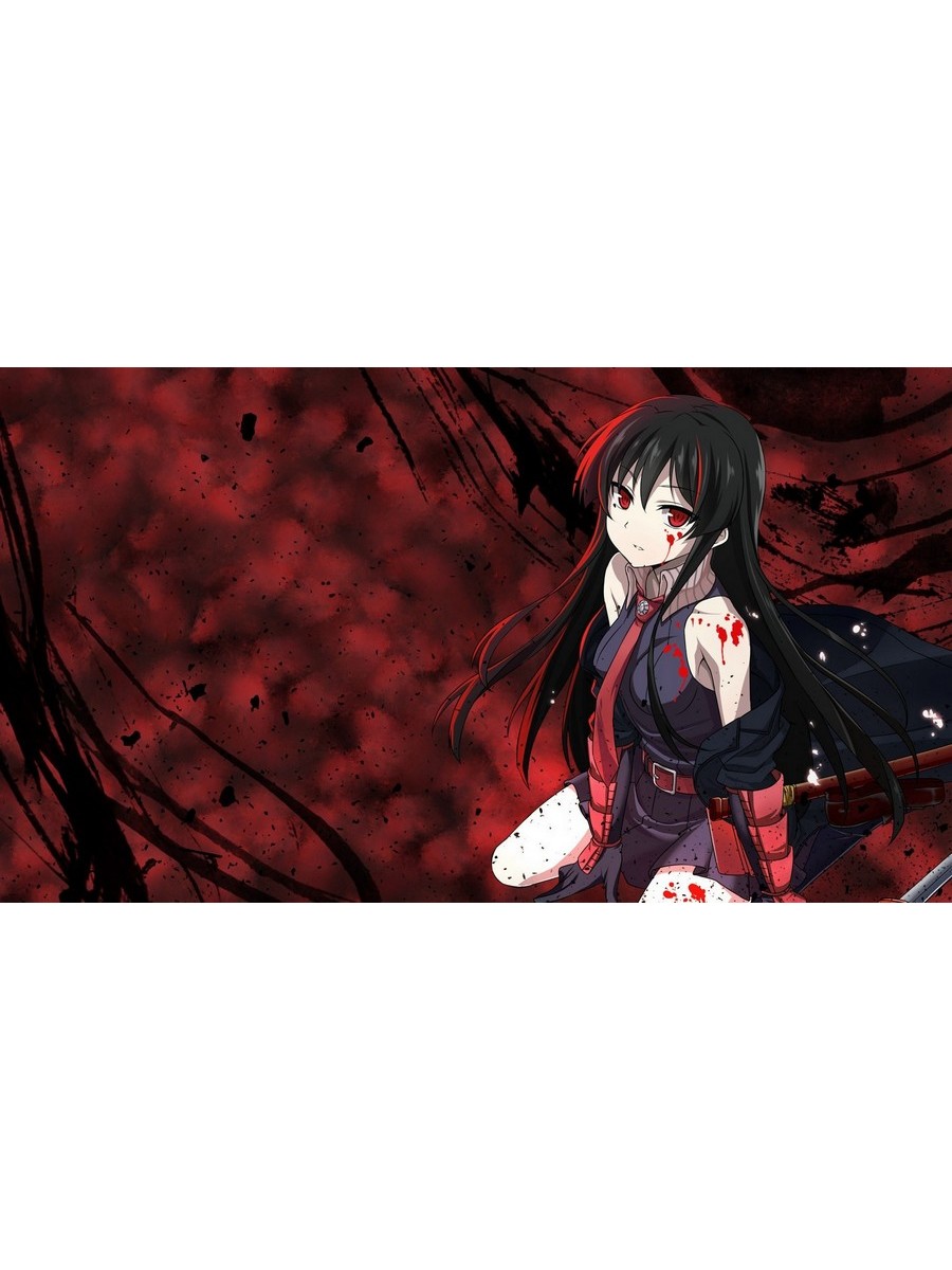 

Постер DRABS A2 Akame ga Kill аниме